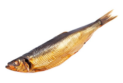 דג מלוח / מעושן